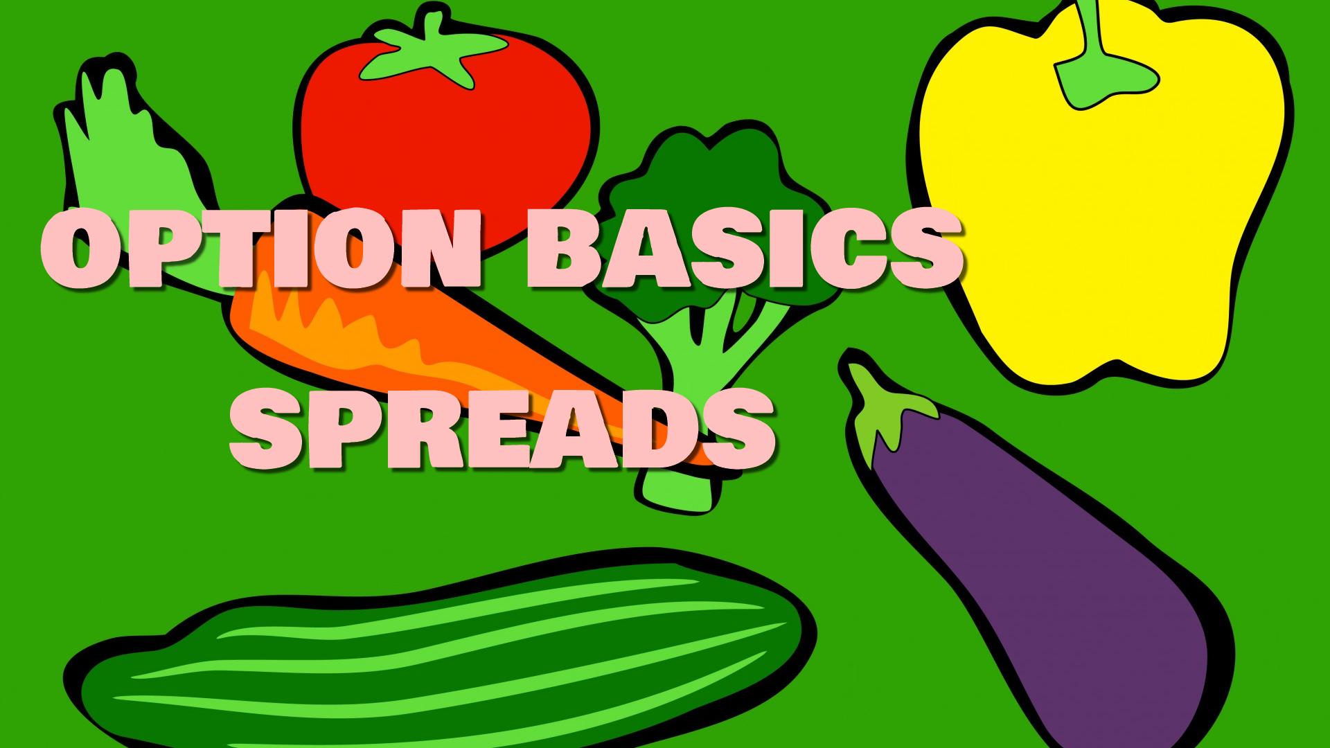 Option Basics: intro to spreads